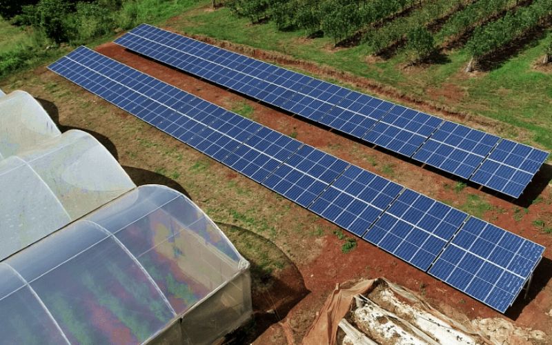 Ribeirão Preto - 358 Módulos